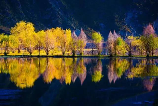 天進(jìn)儀器 天進(jìn)儀器