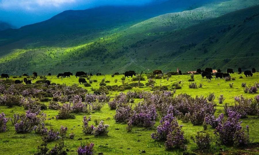 天進(jìn)儀器 天進(jìn)儀器