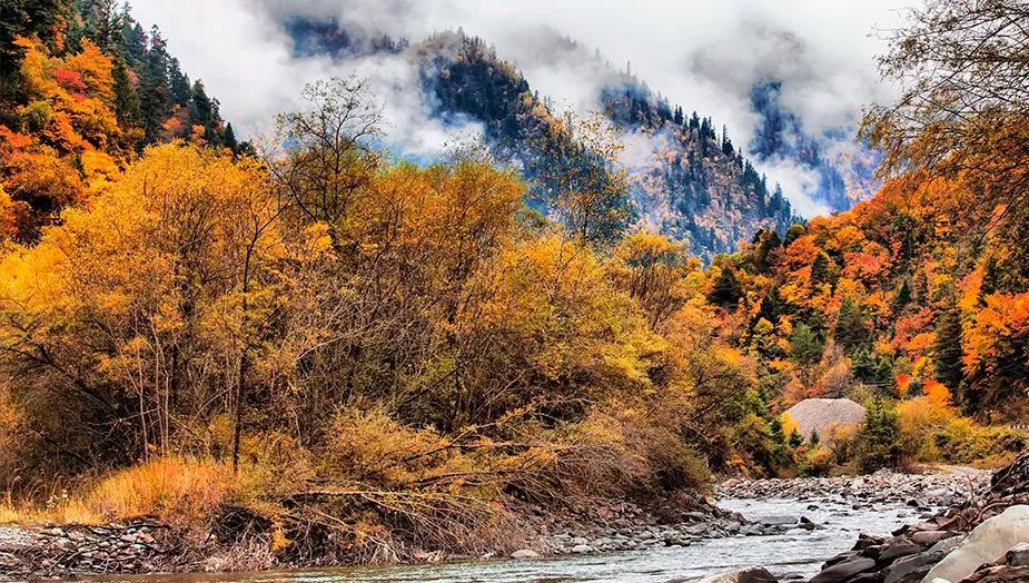 天進(jìn)儀器 天進(jìn)儀器