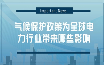 國際能源署：氣候保護(hù)政策為全球電力行業(yè)帶來哪些影響